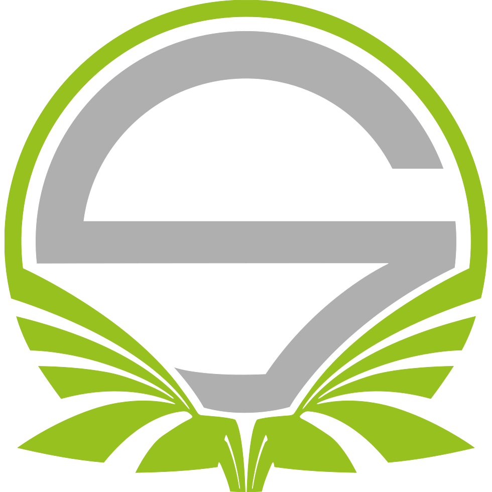 Team Singularity