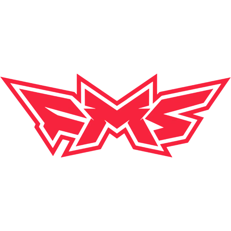 StormMedia FMS