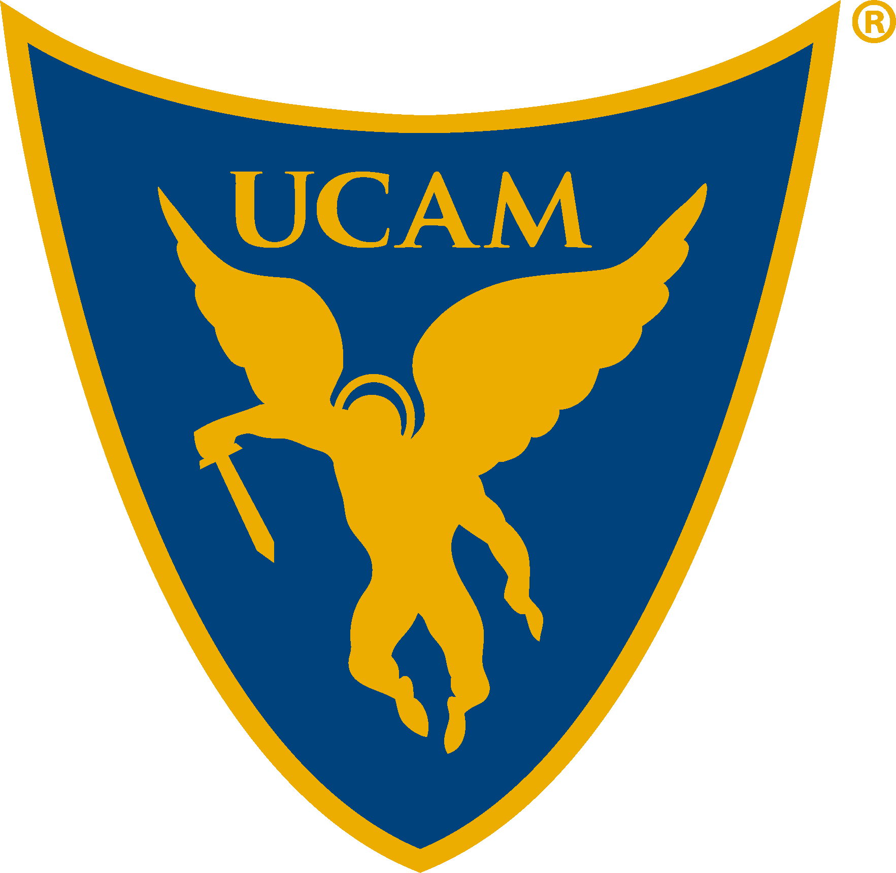 UCAM Tokiers Academy