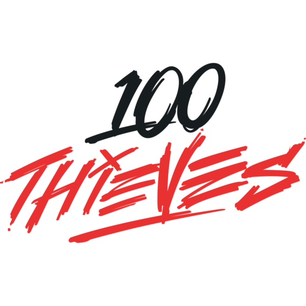 100 Thieves Academy