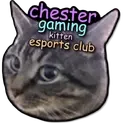 Chester Gaming
