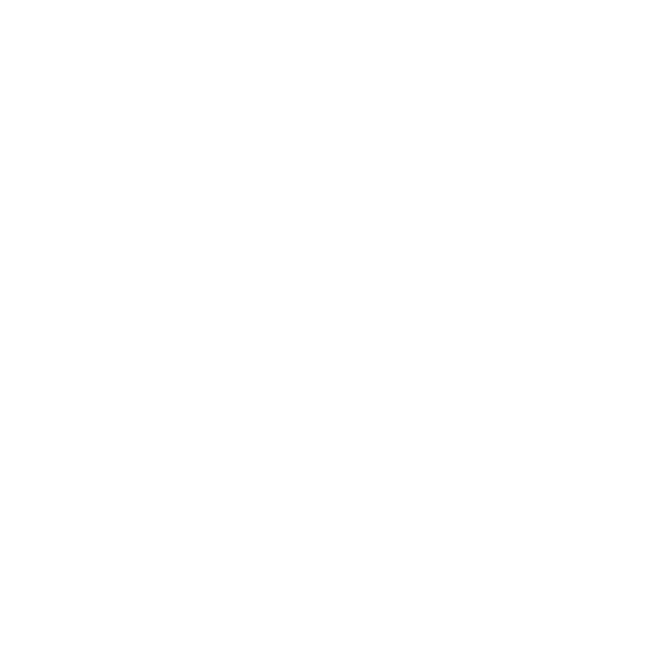 BRUTE