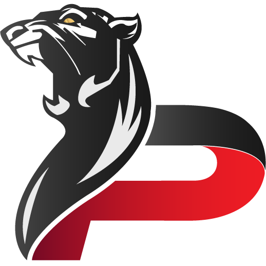 PANTHERS Gaming