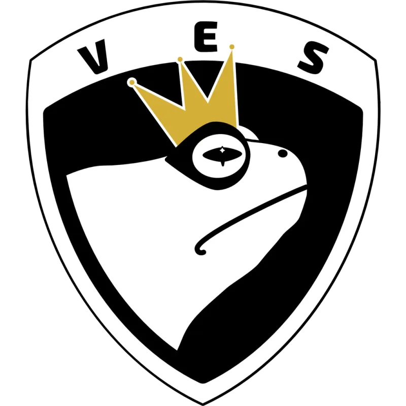 Volda e-Sport