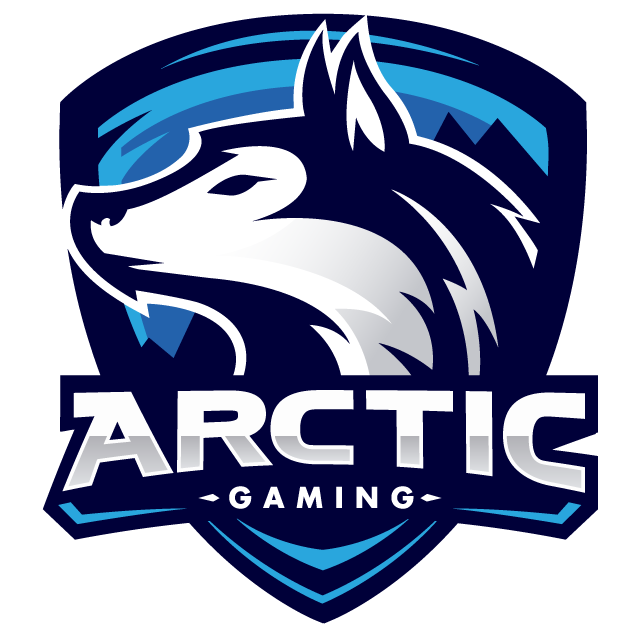 Arctic Gaming
