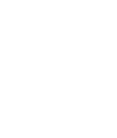 Zerolag Esports