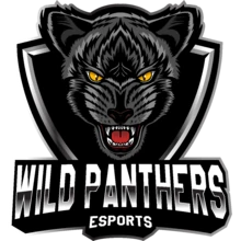 Wild Panthers Esports