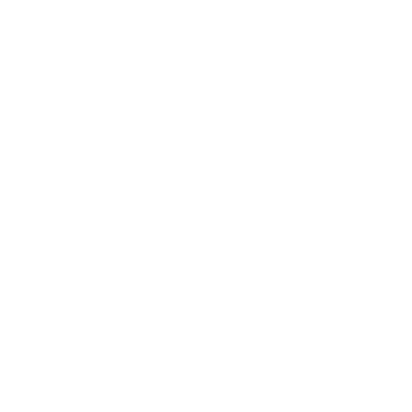 SK Gaming