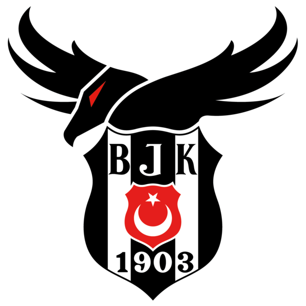Beşiktaş Academy