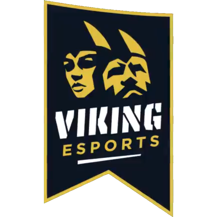 Viking Esport