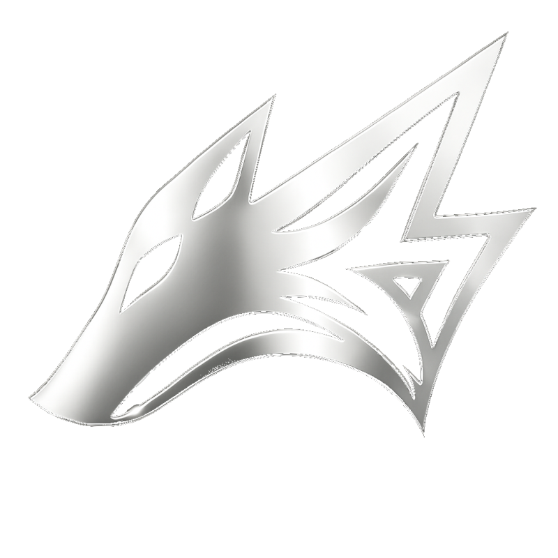 Berzloy E-sports