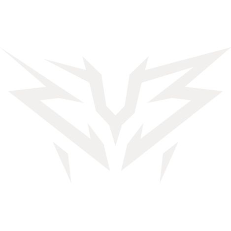 ZYB Esport