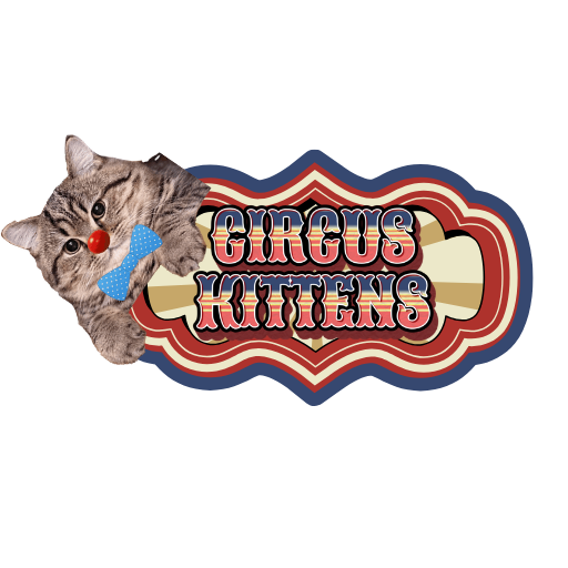 Circus Kittens