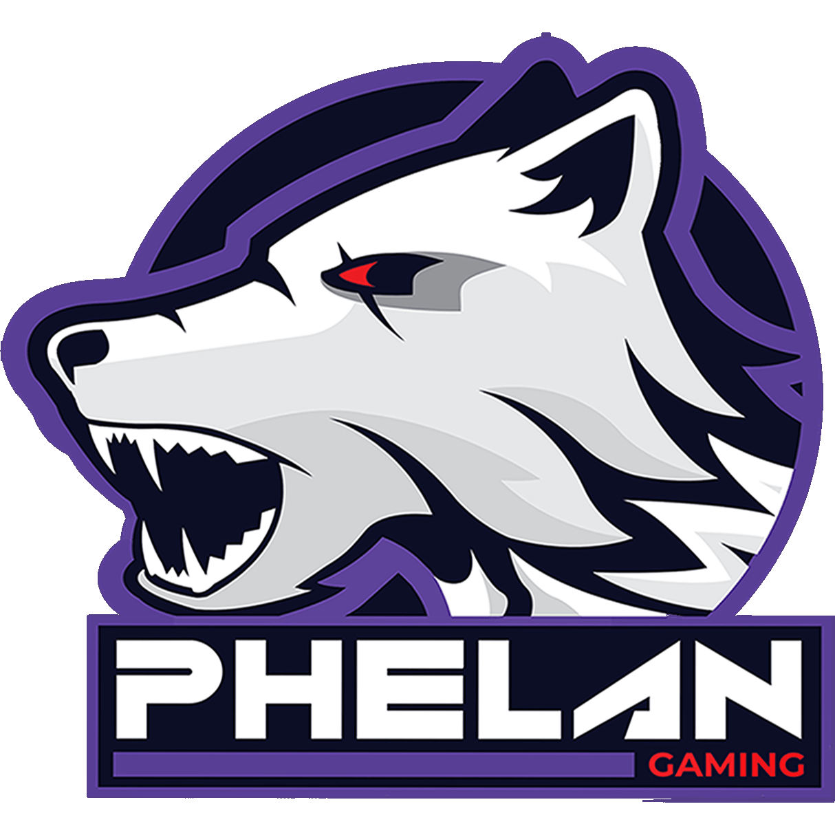 Phelan Gaming