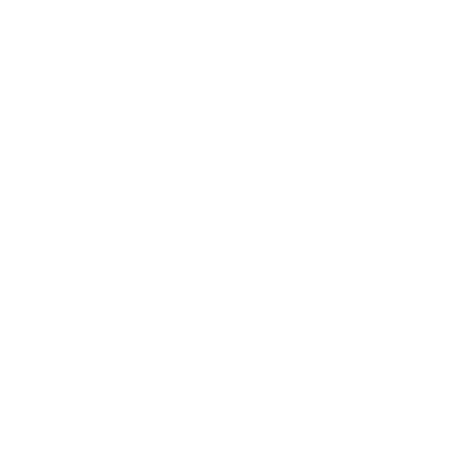 Medieval Riga